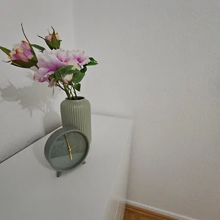 Daire Grosse Moderne Ferienwohnung, Zentrale Ruhige Lage *