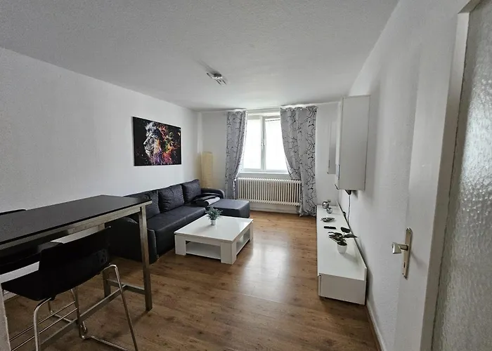 Apartman Grosse Moderne Ferienwohnung, Zentrale Ruhige Lage *