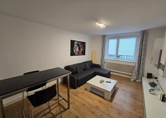 Apartman Grosse Moderne Ferienwohnung, Zentrale Ruhige Lage *